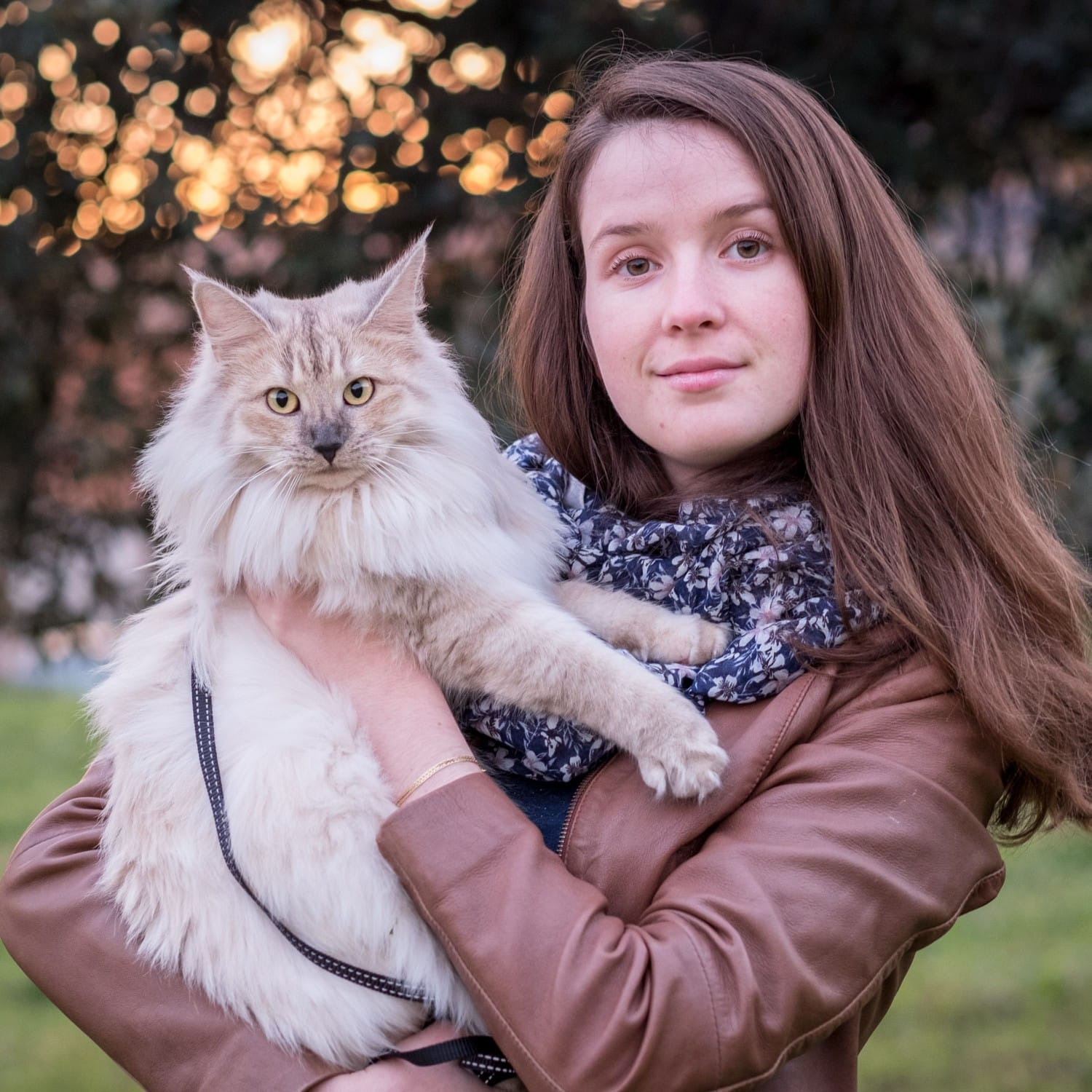 coline carré